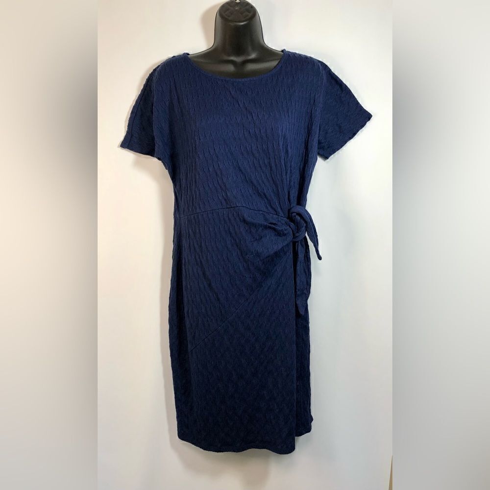 Dana Buchman Womens Size Medium Dress Blue Textured Wear